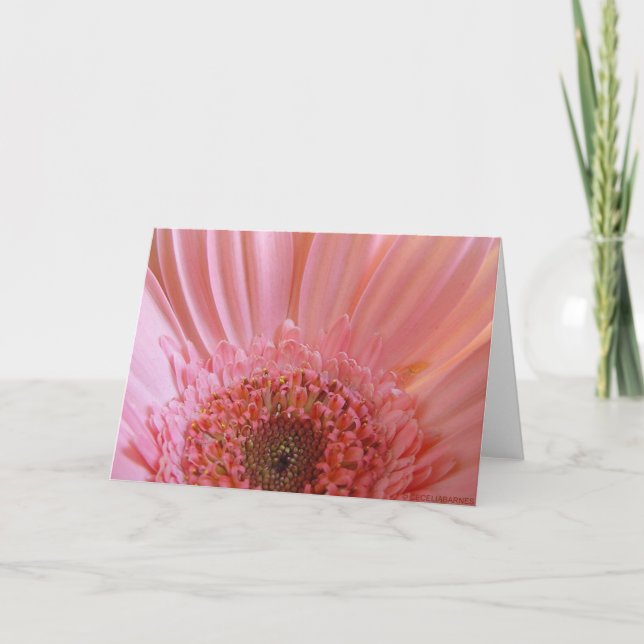 Pink Gerbera Daisy #731 Karte (Vorderseite)