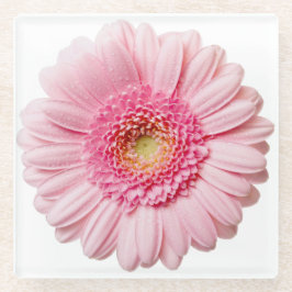 Pink Gerbera Daisy Blume Glass Untersetzer