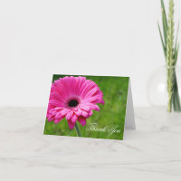 Pink Gerbera Daisy Blume Vielen Dank