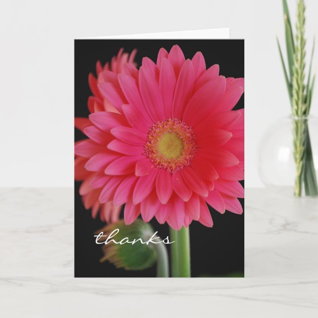 Pink Gerbera Daisy Danke-Karte Dankeskarte (Vorderseite)