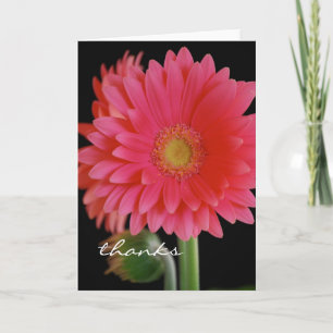 Pink Gerbera Daisy Danke-Karte Dankeskarte