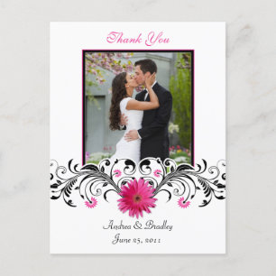 Pink Gerbera Daisy Danke, Postcard Postkarte