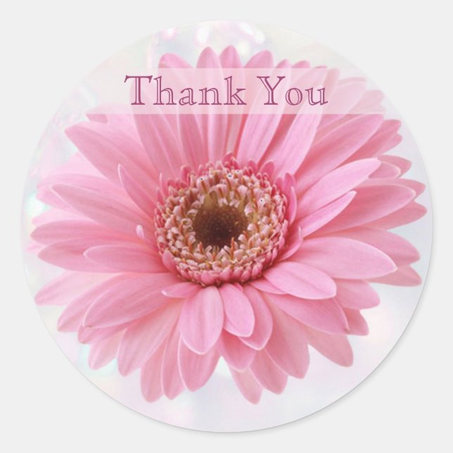 Pink Gerbera daisy Danke, Sticker (Vorderseite)