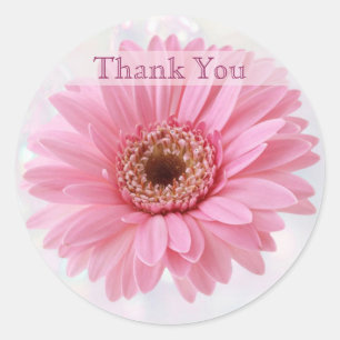Pink Gerbera daisy Danke, Sticker