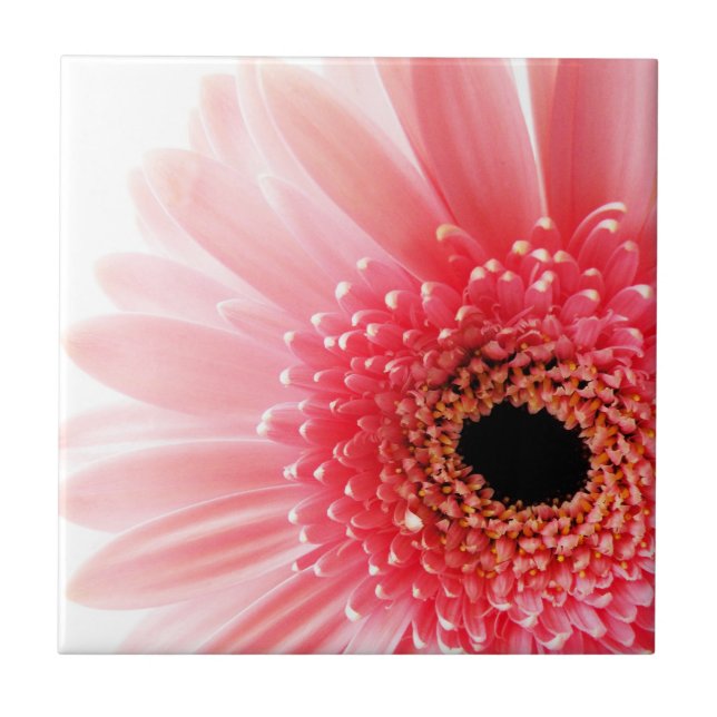 Pink Gerbera Daisy Fliese (Vorderseite)