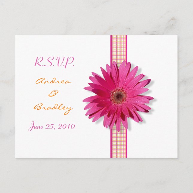 Pink Gerbera Daisy Kariert Ribbon UAWG Postkarte (Vorderseite)