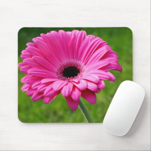 Pink Gerbera Daisy Mousepad
