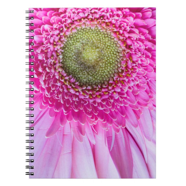 Pink Gerbera Daisy-Notebook Notizblock (Vorderseite)