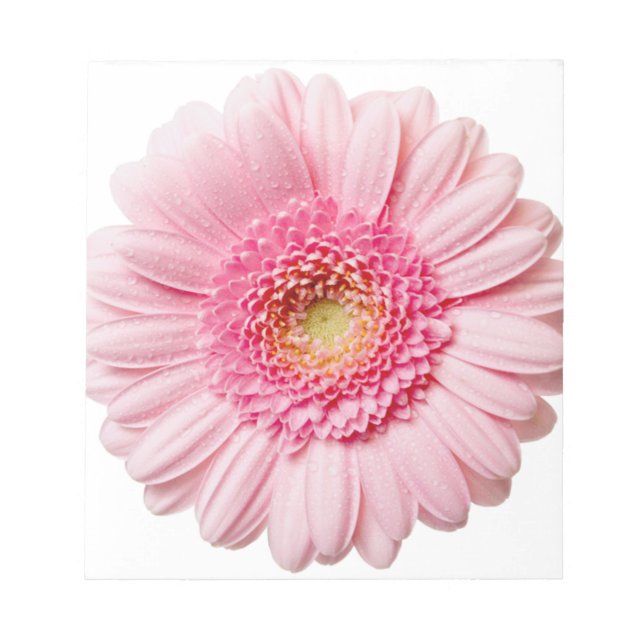 Pink Gerbera Daisy Notizblock (Vorderseite)