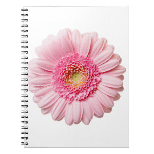 Pink Gerbera Daisy Notizblock