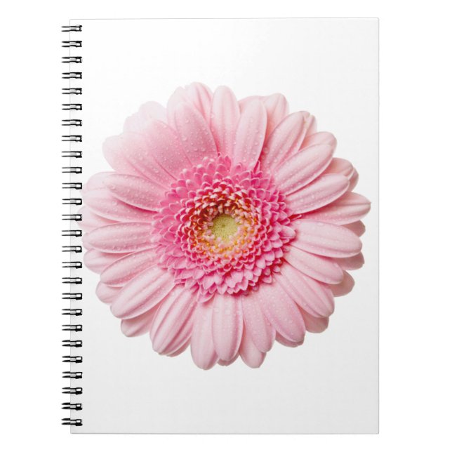 Pink Gerbera Daisy Notizblock (Vorderseite)