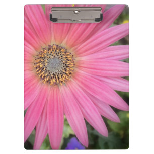 Pink Gerbera Daisy Office-Zwischenablage Klemmbrett