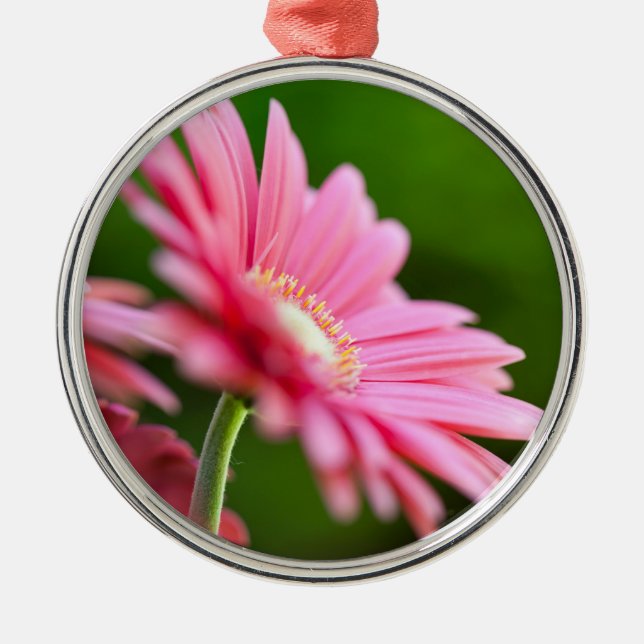 Pink Gerbera Daisy Ornament Aus Metall (Vorne)
