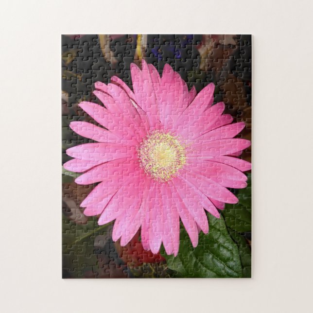Pink Gerbera Daisy Puzzle (Vertikal)
