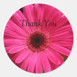 Pink Gerbera Daisy Runder Aufkleber