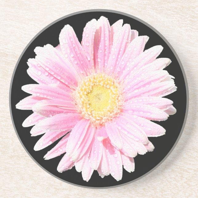 Pink Gerbera Daisy Sandstone Untersetzer (Vorne)