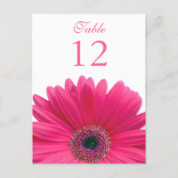 Pink Gerbera Daisy Table Number Card