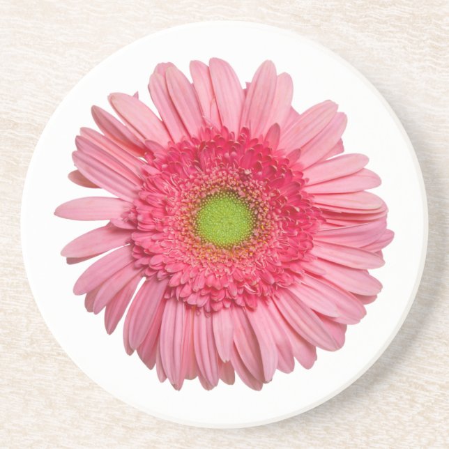 Pink Gerbera Daisy Untersetzer (Vorne)
