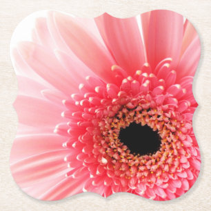 Pink Gerbera Daisy Untersetzer