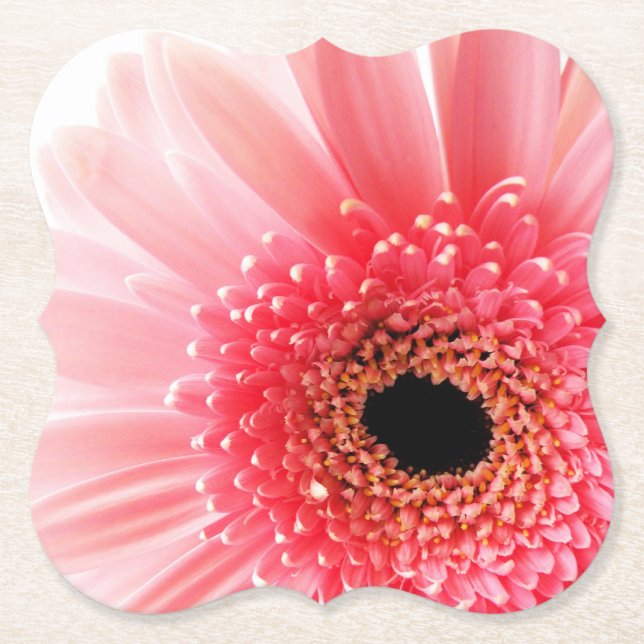 Pink Gerbera Daisy Untersetzer (Vorderseite)