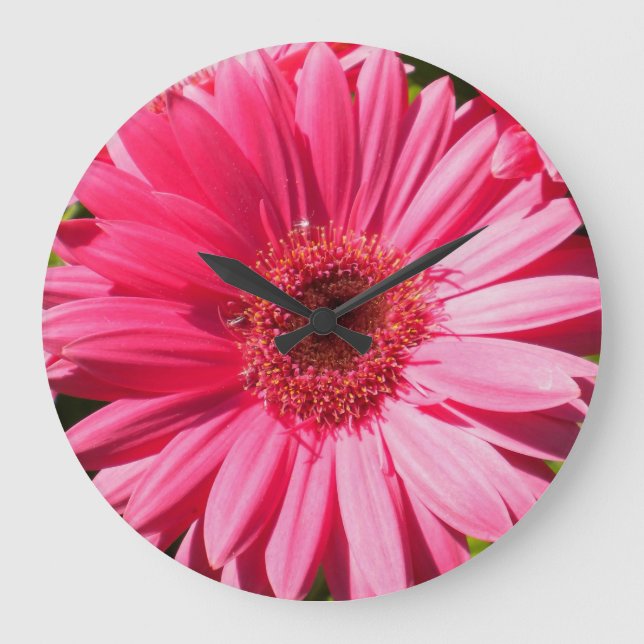 Pink Gerbera Daisy Wallclock Große Wanduhr (Vorderseite)