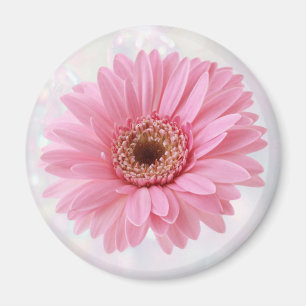 Pink Gerbera Kühlschrankmagnet Magnet