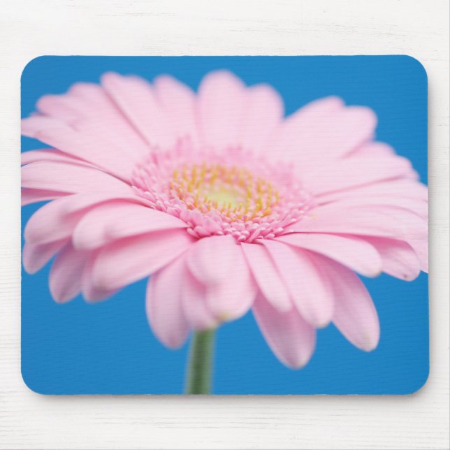 Pink Gerbera Mousepad (Vorne)