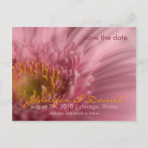 Pink Gerbera Save the Date Postcard Ankündigungspostkarte