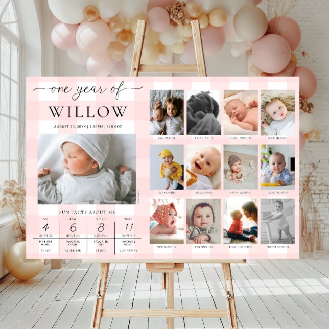 Pink Gingham First Birthday Foto Milestone Poster (Von Creator hochgeladen)