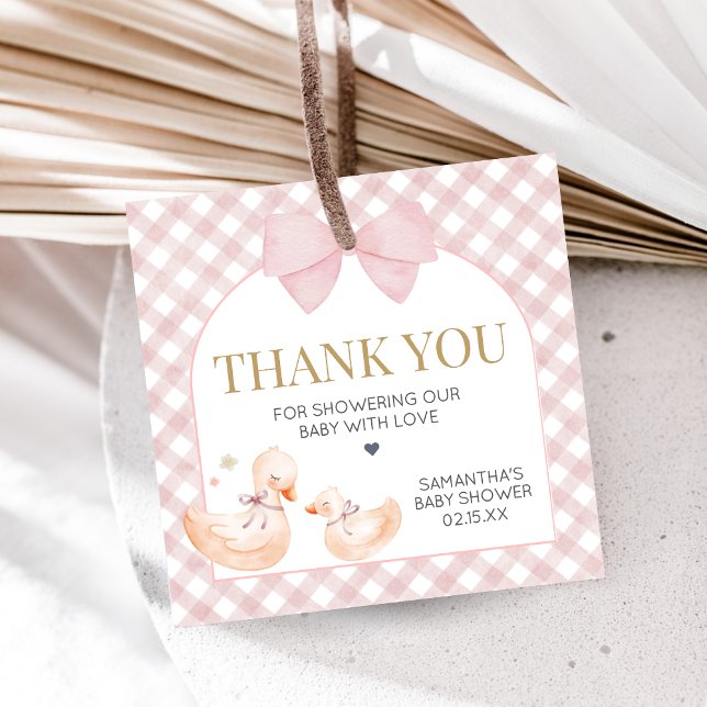 Pink Gingham Silly Goose Baby Shower Geschenkanhänger (Silly Goose Baby Shower Favor Tags)