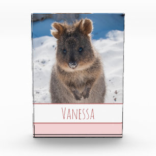 Pink Girls Personalisiert Quokka am Strand Fotoblock