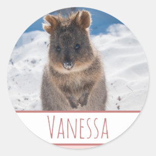 Pink Girls Personalisiert Quokka Beach Sticker