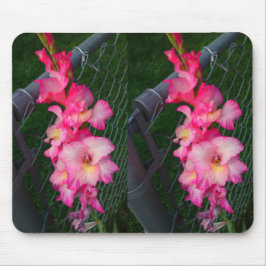 Pink Gladiola Blume Mousepad