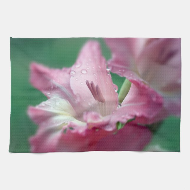 Pink Gladiolus Küchentücher (Horizontal)