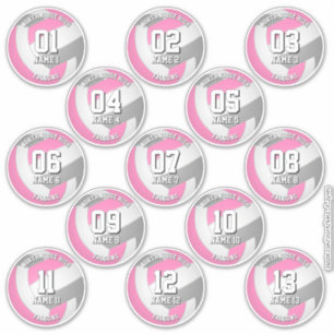 pink-graue Volleyball-Team-Aufkleber 13 Athleten Aufkleber
