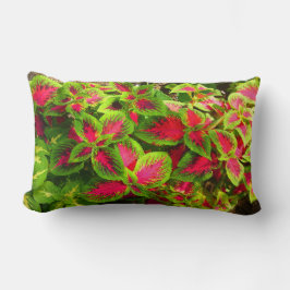 Pink Green Coleus Blume Kissen