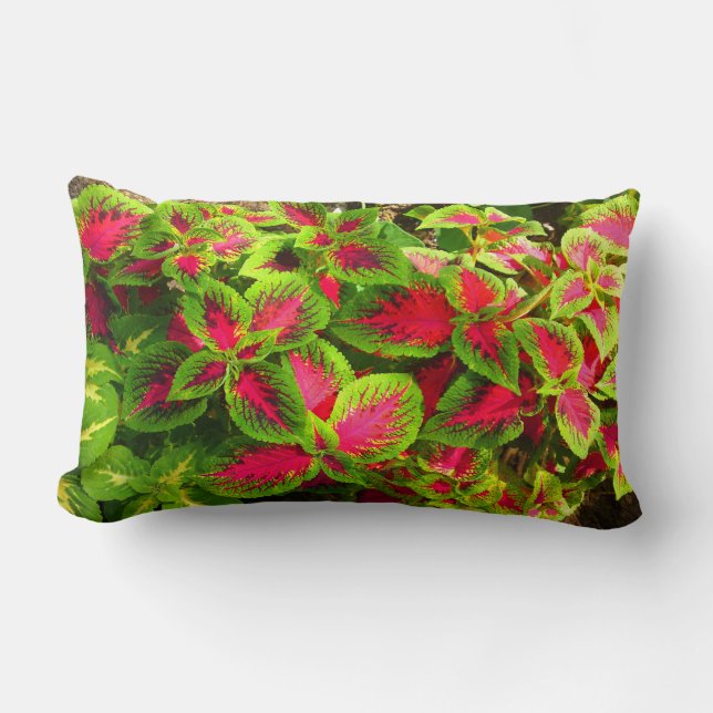 Pink Green Coleus Blume Kissen (Vorderseite)