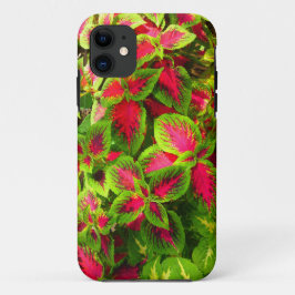 Pink Green Coleus Blumen Phone Case