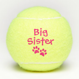 Pink-große Schwester-Schoßhund-Katzen-Spielzeug Tennisbälle