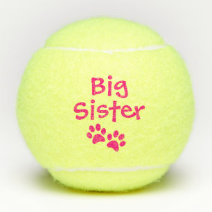 Pink-große Schwester-Schoßhund-Katzen-Spielzeug Tennisbälle