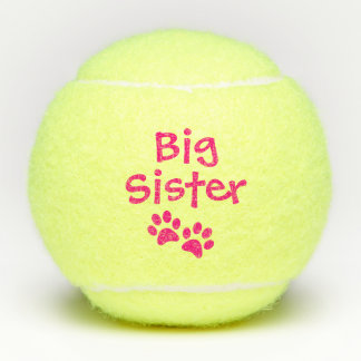 Pink-große Schwester-Schoßhund-Katzen-Spielzeug Tennisbälle