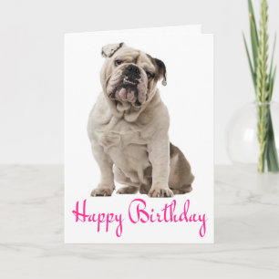 Pink Happy Birthday English Bulldog Puppy Dodge Ca Karte