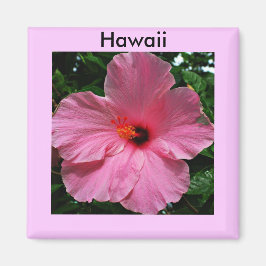 Pink Hawaiian Hibiskus Magnet