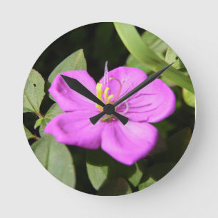 Pink Hawaiian Plumeria Poster Imitate Canvas Print Runde Wanduhr