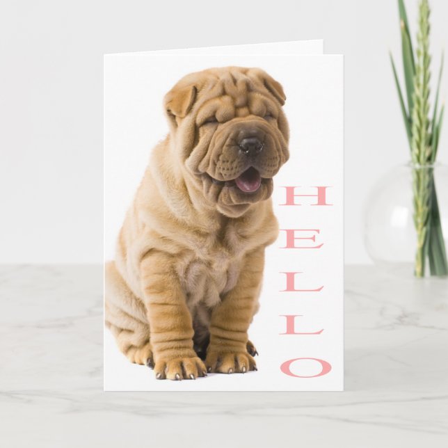 Pink Hello Shar Pei Puppy Dog Blank Karte (Vorderseite)
