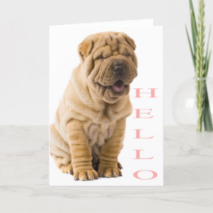 Pink Hello Shar Pei Puppy Dog Blank Karte
