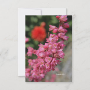 Pink Heuchera Mitteilungskarte