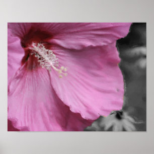 Pink Hibiscus Photo Painting Art Poster