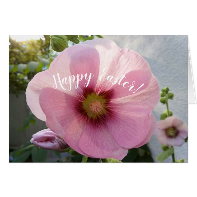 Pink Hollyhock Blume Ostercard (Vorderseite (Horizontal))