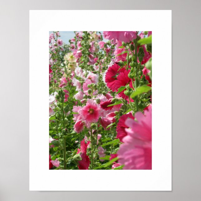 Pink Hollyhocks: Japan Poster (Vorne)